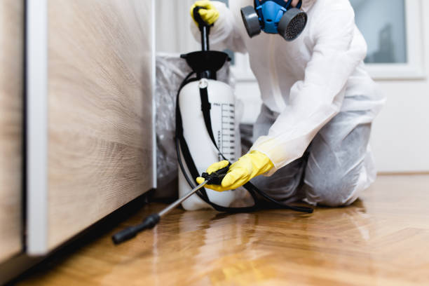 Best Pest Removal Services  in Pequot Lakes, MN