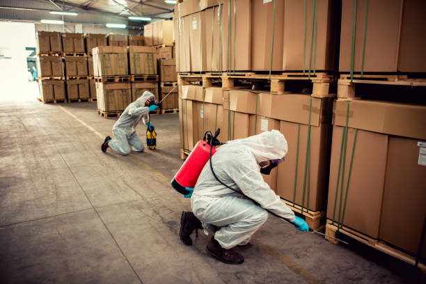 Professional Pest Control in Pequot Lakes, MN