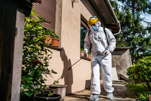 Professional Pest Control in Pequot Lakes, MN