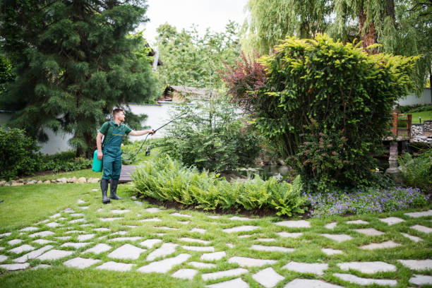 Best Exterminator Services  in Pequot Lakes, MN