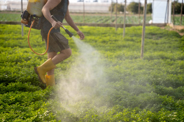 Best Pest Control Near Me in Pequot Lakes, MN