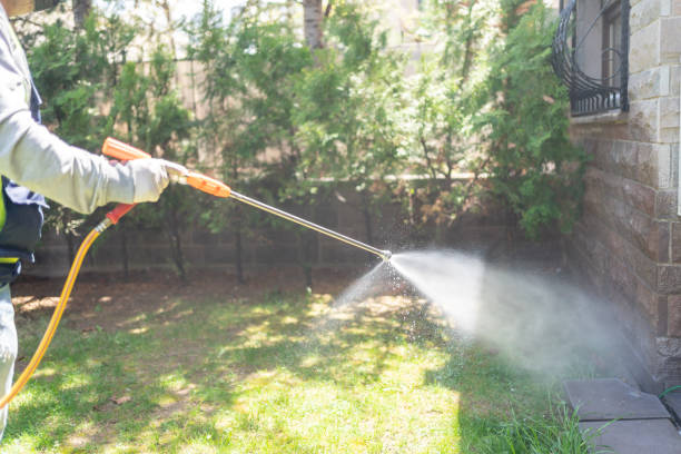 Best Termite Control Services  in Pequot Lakes, MN