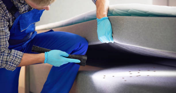 Best Mosquito Control Services  in Pequot Lakes, MN
