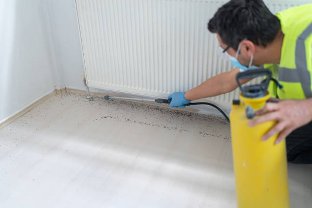 Best Pest Control Cost  in Pequot Lakes, MN